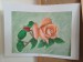 Růžička, 23x18 cm, suchý pastel 